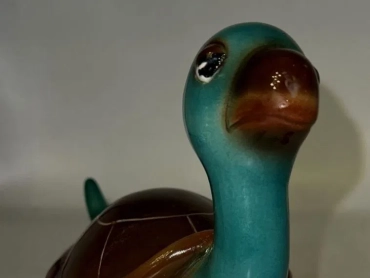 zaccagnini-tartaruga-01