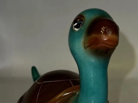 zaccagnini-tartaruga-01