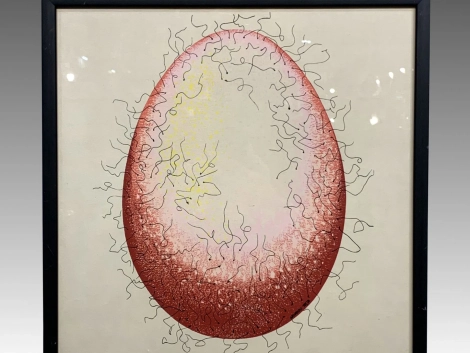 armando-testa-pelo-01