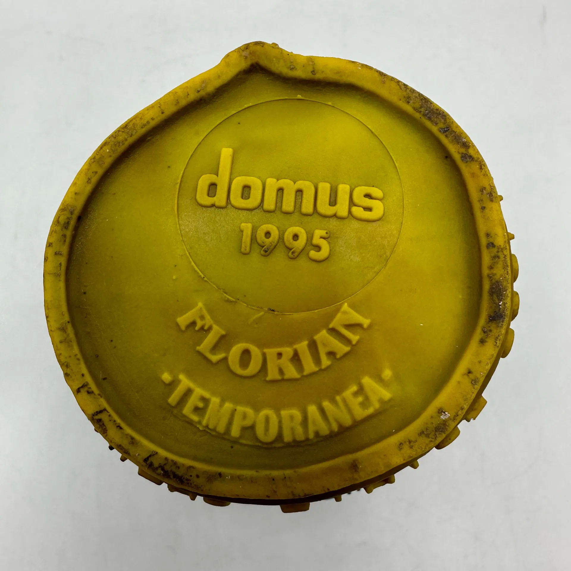 GAETANO PESCE VASO GOTO 1995 BIENNALE VENEZIA - immagine 6