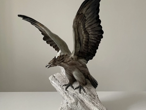 aquila-01