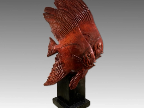 pesci-combattenti-01